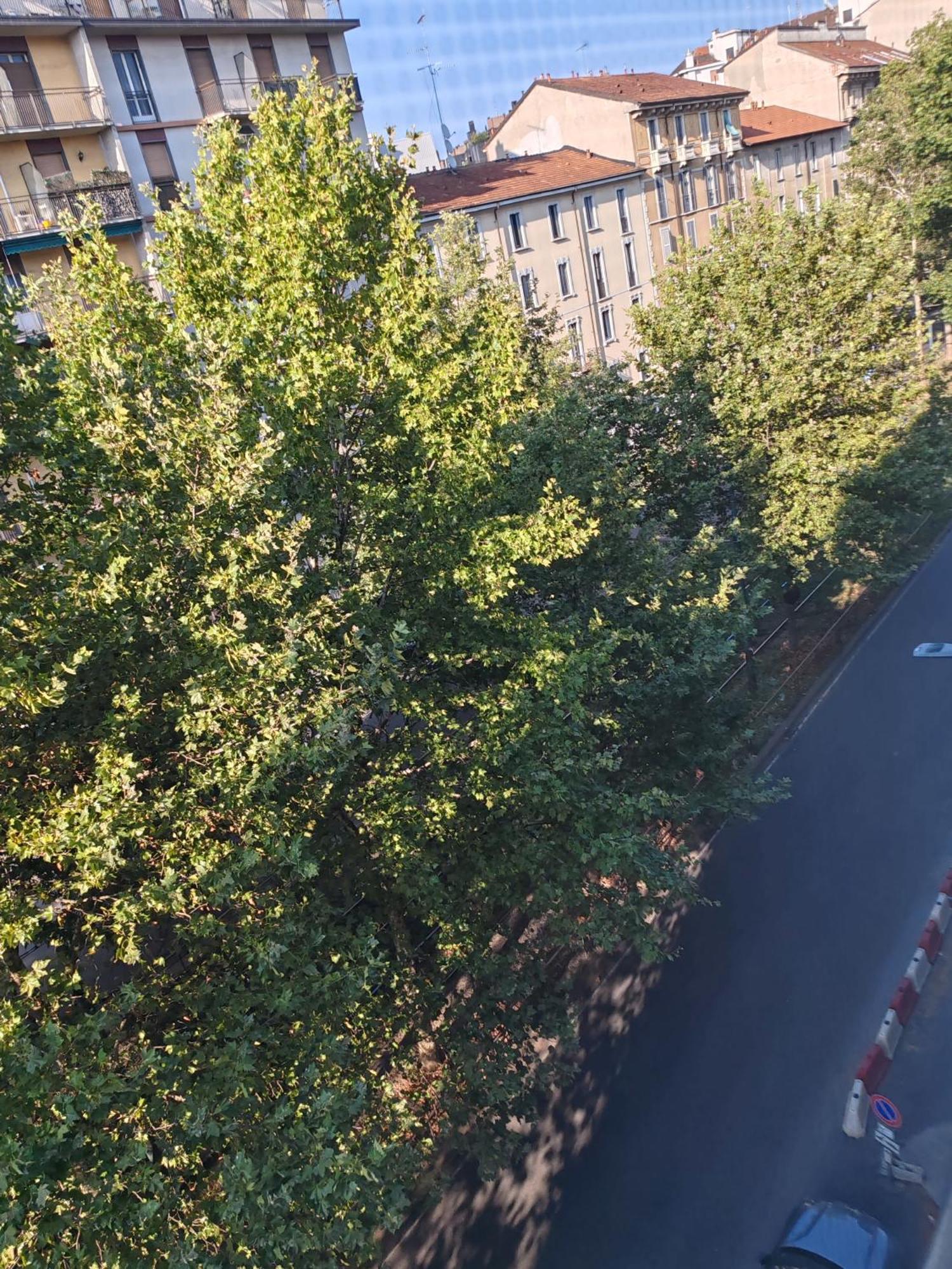 La Casa Di Cris - Milano, Appartamento Zona Sempione Dış mekan fotoğraf